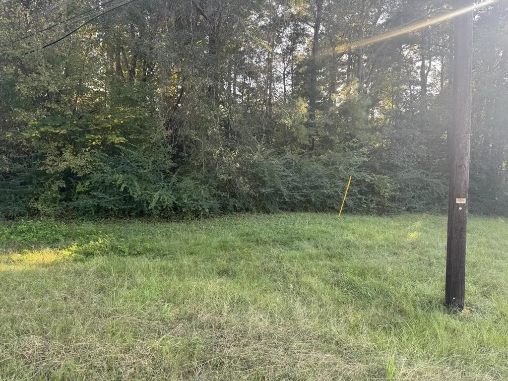 TBD Old Tyler Road, Nacogdoches, TX 75964 - Image #1