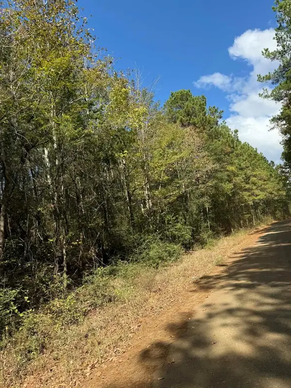 TBD County Road 4020, Timpson, TX 75033