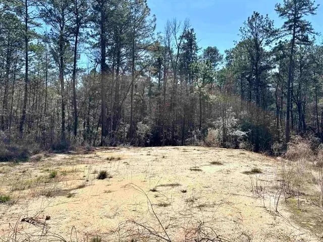 145 Aztec Lane, Brookeland, TX 75931 - Image #3