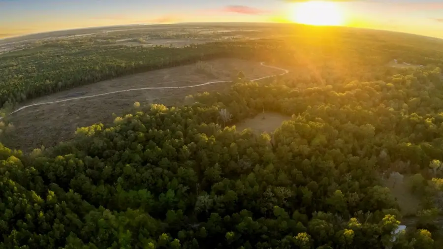 17453 Shop Branch, Huntington, TX 75949 - Image #2