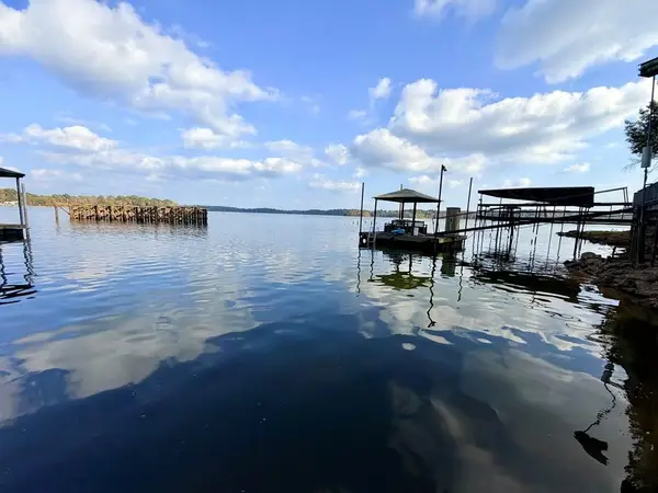 491 Midlake Drive, Hemphill, TX 75948