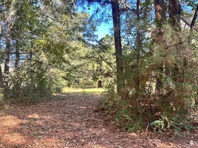 1059 Allentown Loop, Lufkin, TX 75904 - Image #2