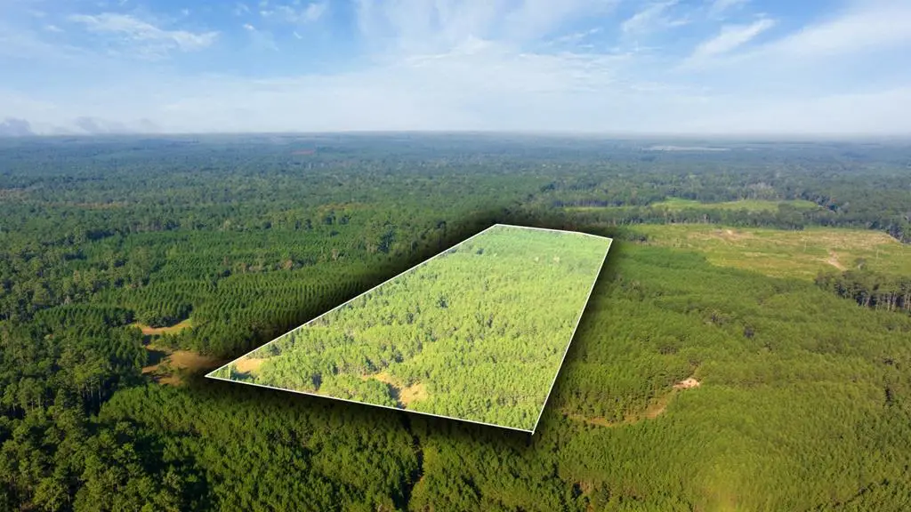 107540 County Road 037, Jasper, TX 75951 - Image #1