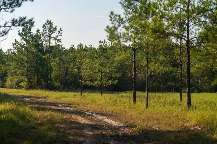 107540 County Road 037, Jasper, TX 75951 - Image #3