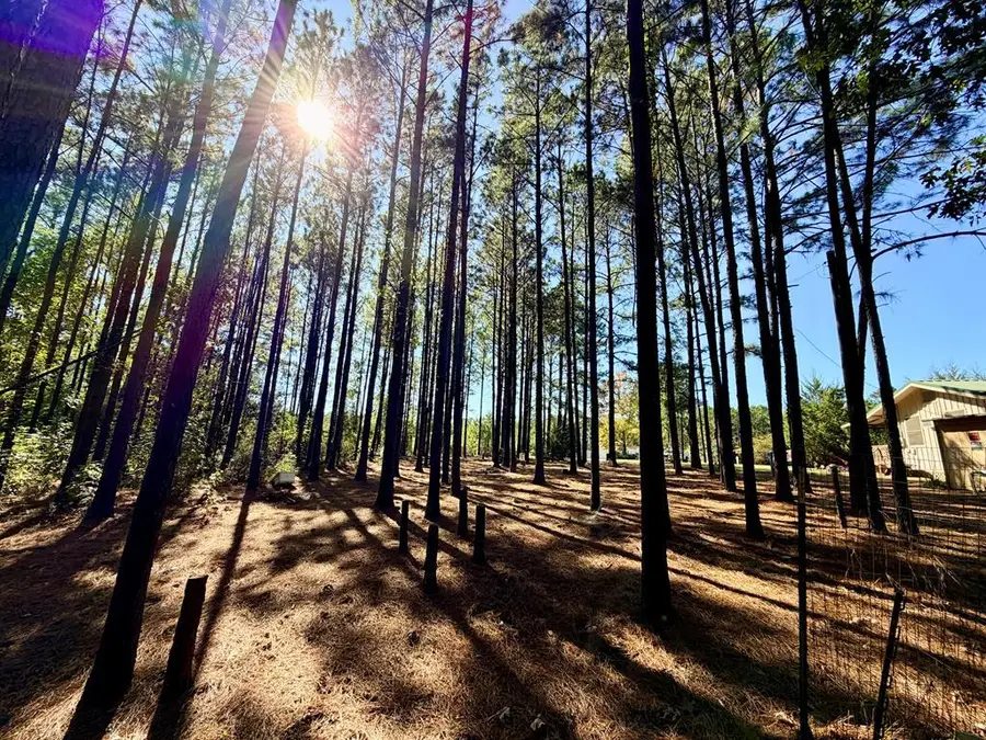 100 N Hickory Hill, Hemphill, TX 75948 - Image #2