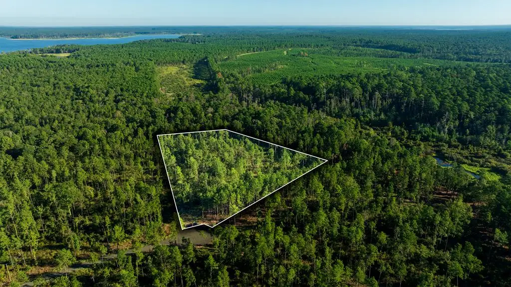 24398 Lot 17 Fm 3173, Broaddus, TX 75929 - Image #1