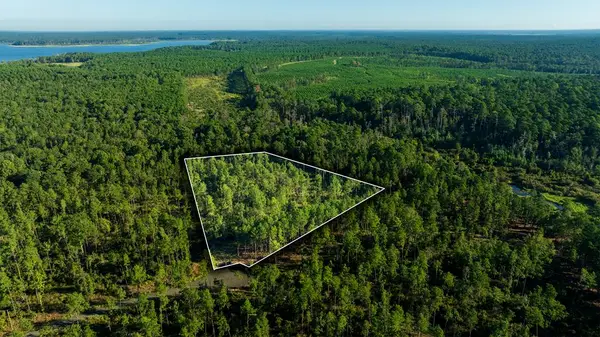 24398 Lot 17 Fm 3173, Broaddus, TX 75929