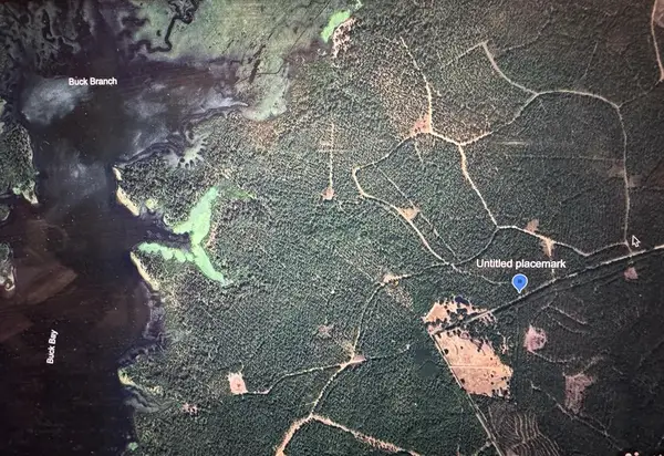 090 County Divide Road, Pineland, TX 75968