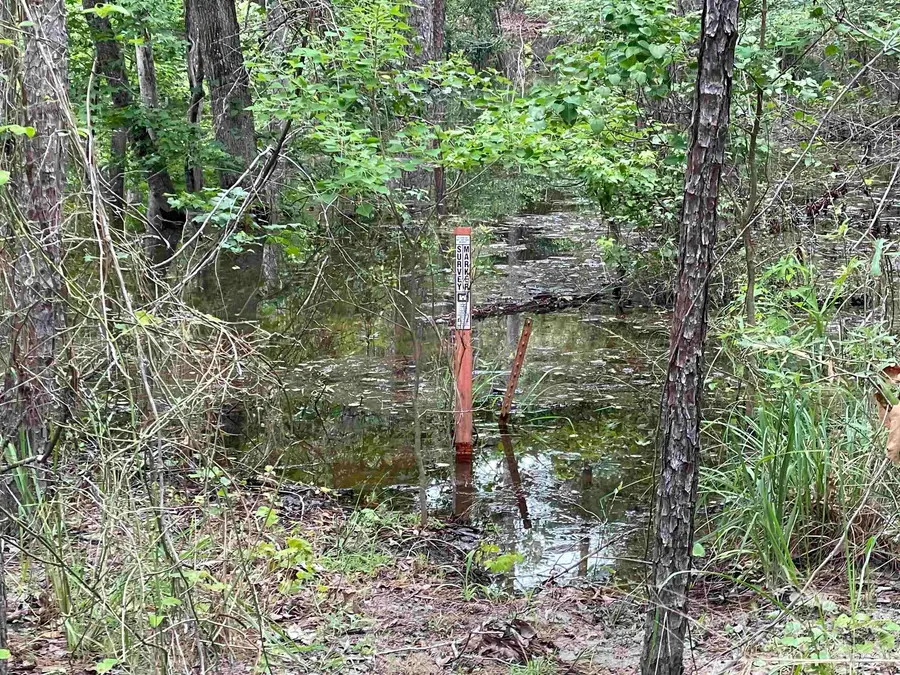 4 Wembley Drive, Brookeland, TX 75931 - Image #3