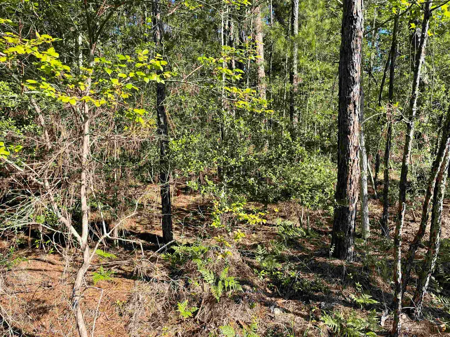 131 Glenwood, Brookeland, TX 75931 - Image #2