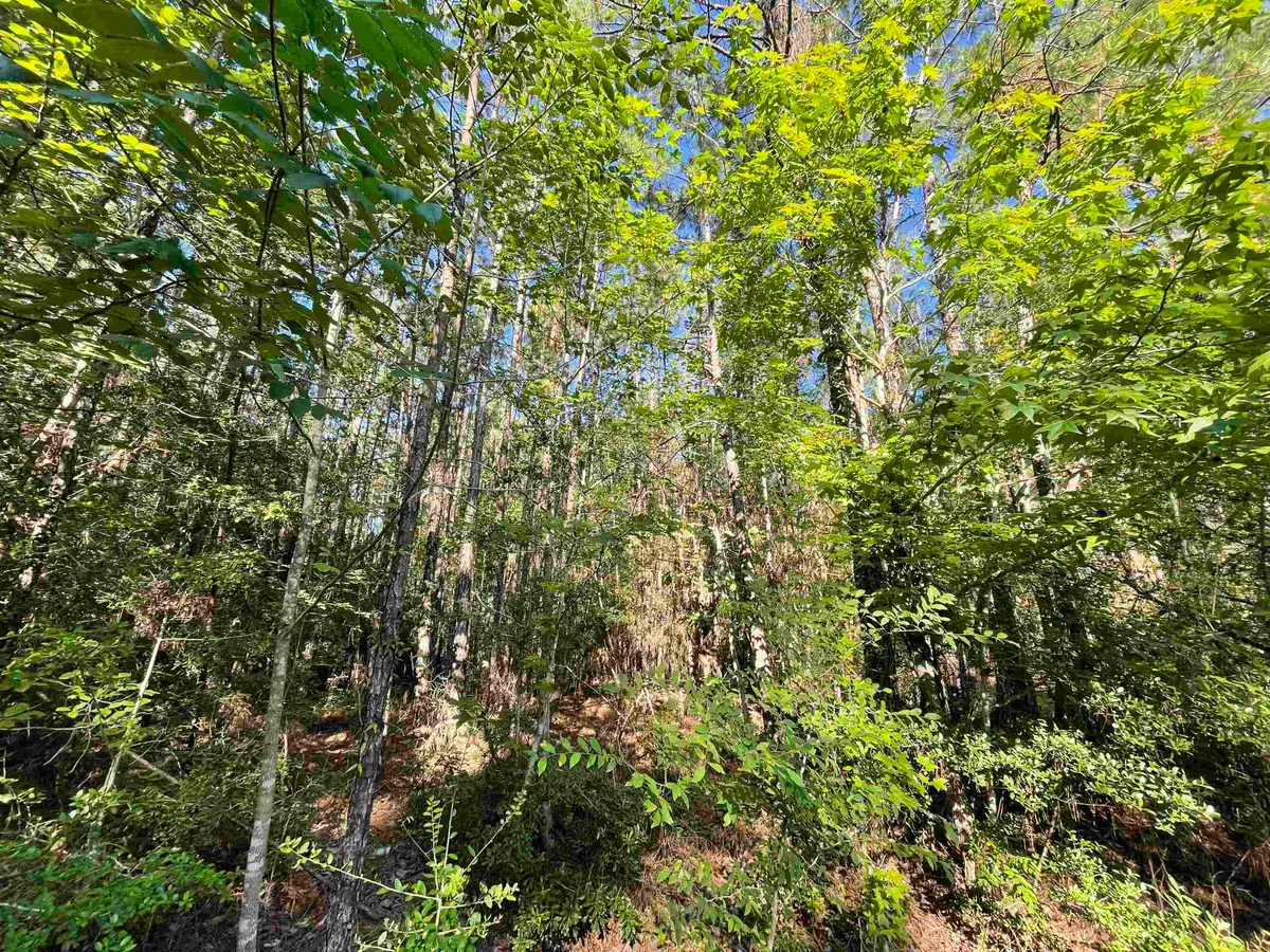 115 Glenwood, Brookeland, TX 75931 - Image #1