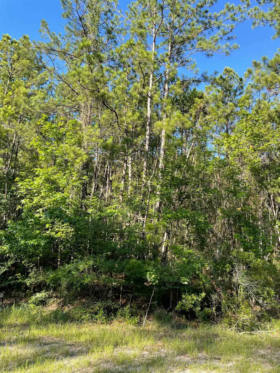 115 Glenwood, Brookeland, TX 75931 - Image #3