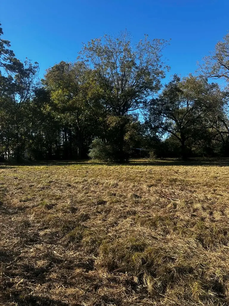 PID 10212 Fm 843, Pollok, TX 75969 - Image #2