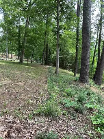 199 Davy Crockett Court, Hemphill, TX 75948