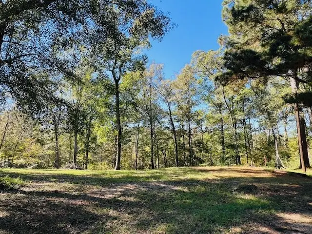 199 Davy Crockett Court, Hemphill, TX 75948 - Image #3