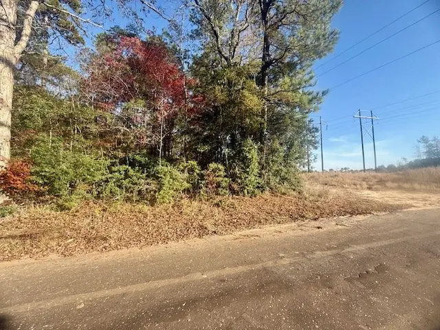 14494 County Road 87, Jasper, TX 75951 - #3