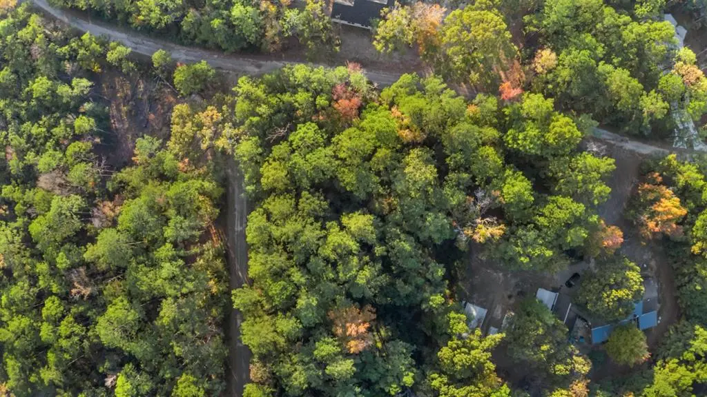 88 Deodar Dr, Brookeland, TX 75931 - Image #1