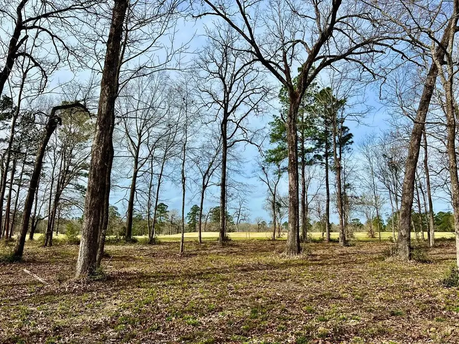 3.48 Roberts Lane, Diboll, TX 75941 - Image #2