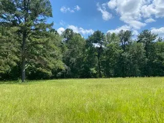 3210 Fm 3065, Colmesneil, TX 75938 - #3