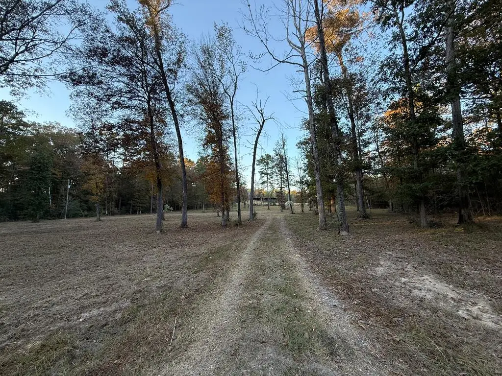 395 Hwy 63, Burkeville, TX 75932 - Image #1