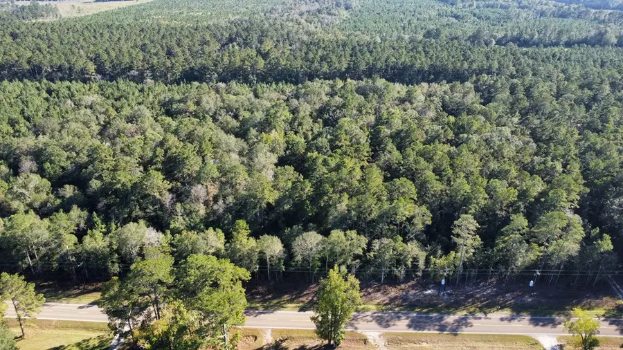 TBD Fm 1004 E, Call, TX 75933 - Image #3