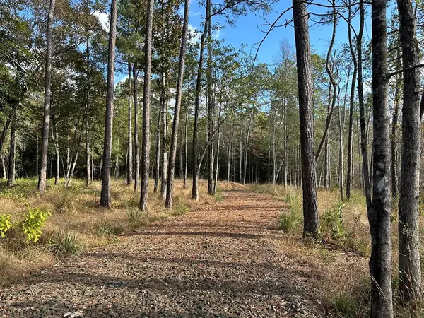 580 County Road 061, Jasper, TX 75951