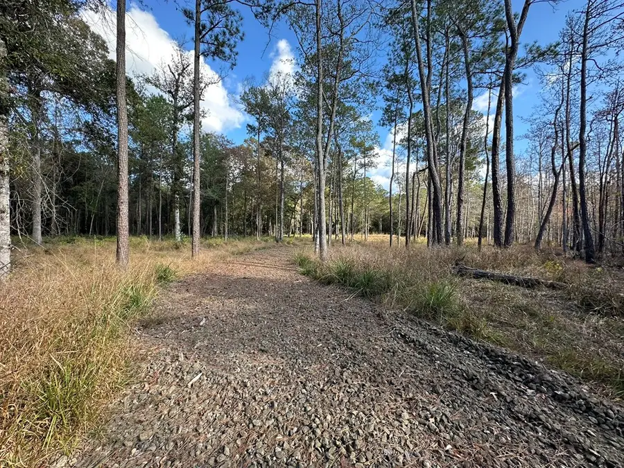 580 County Road 061, Jasper, TX 75951 - Image #2