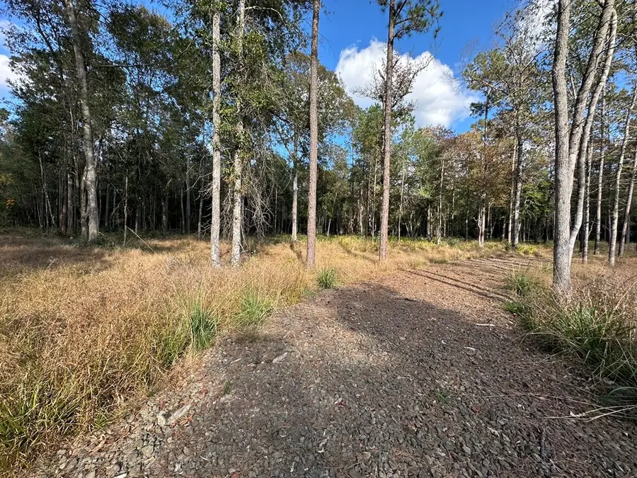 580 County Road 061, Jasper, TX 75951 - Image #3