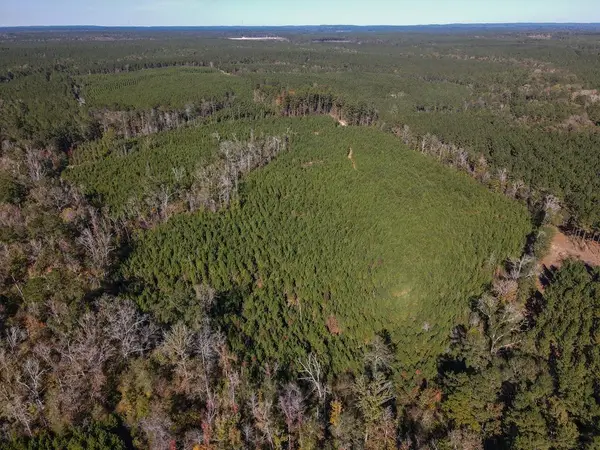 TBD County Road 4305, Bronson, TX 75930