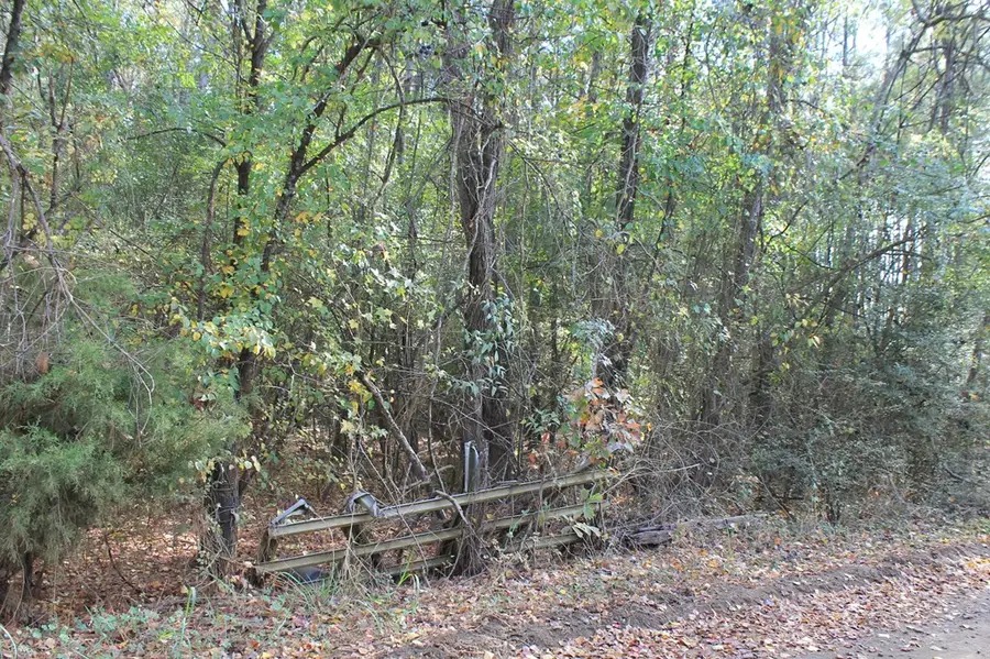 L65271 Noble Drive, Milam, TX 75959 - Image #3