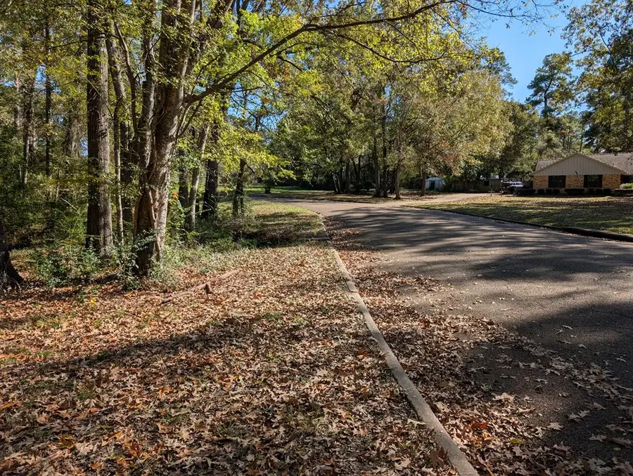 TBD Wildbriar Drive, Lufkin, TX 75904 - Image #3