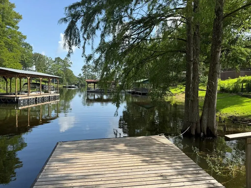 535 Tall Timbers, Burkeville, TX 75932 - #1