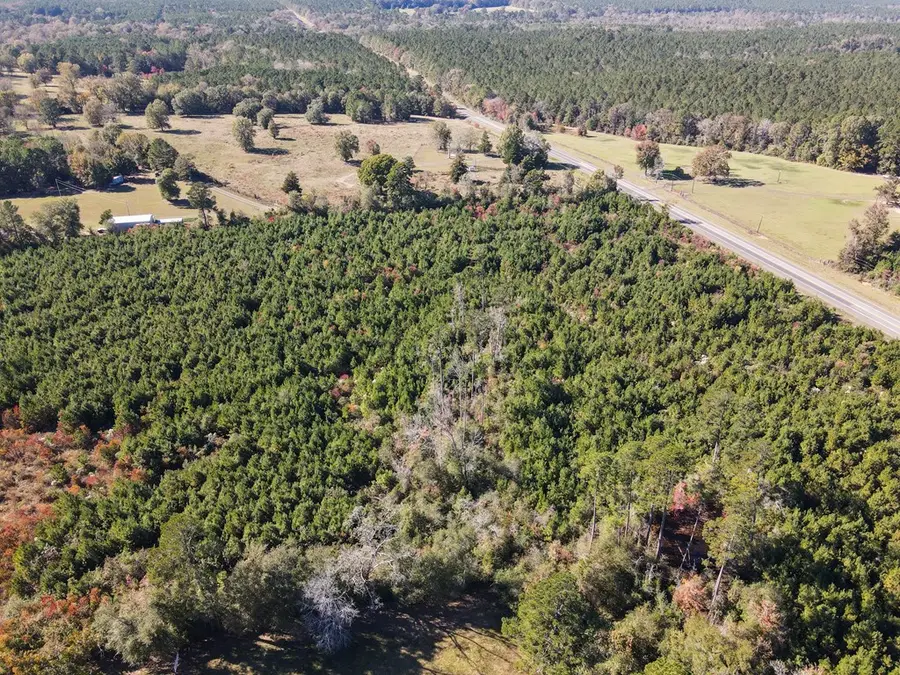 TBD Hwy 103, Bronson, TX 75972 - Image #3