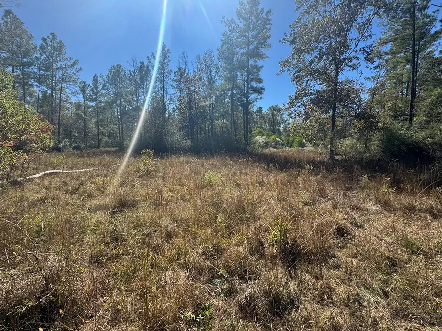 690 Jim Fenley Loop, Lufkin, TX 75901 - Image #3