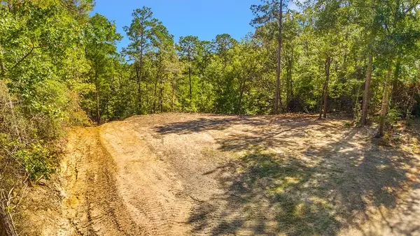 403 County Road 51, Jasper, TX 75951