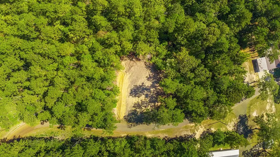 403 County Road 51, Jasper, TX 75951 - Image #2