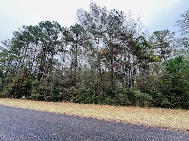 328 Mcelroy Switch, Pineland, TX 75968 - Image #2