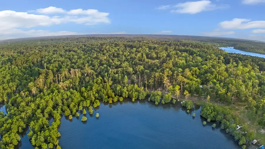 143 Sweetgum, Brookeland, TX 75931 - Image #2