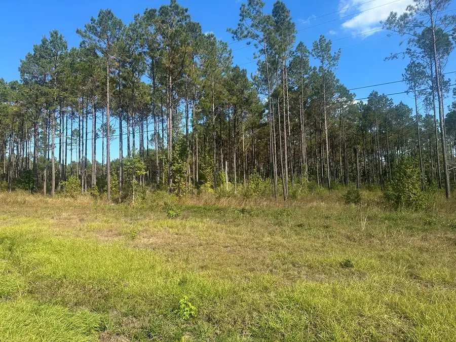 1975 Fm 1005, Jasper, TX 75951 - Image #2