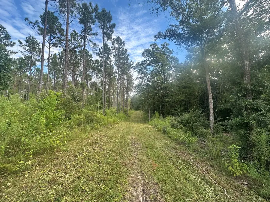 1975 Fm 1005, Jasper, TX 75951 - Image #3