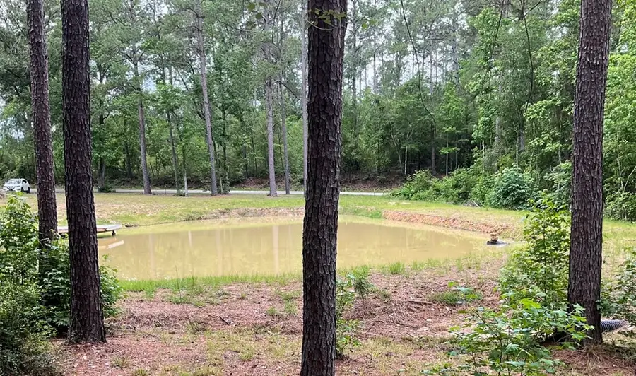 768 County Road 219, Brookeland, TX 75931 - Image #2