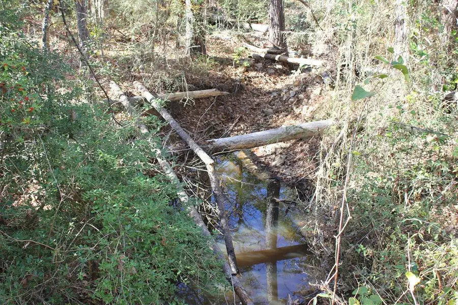 PID 25936 Moore Cemetary Road, Groveton, TX 75845 - Image #2