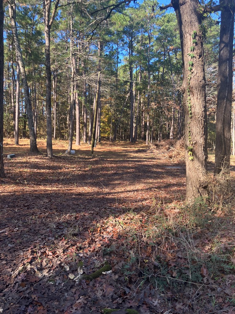 119 Lakeside Drive, Hemphill, TX 75948 - Image #2