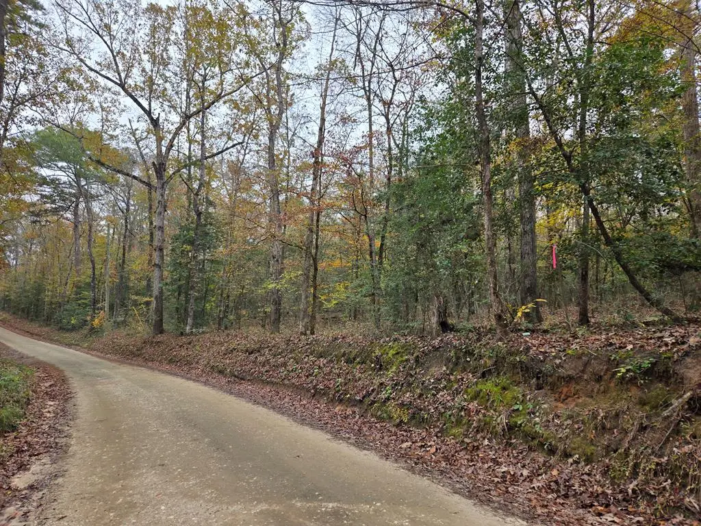 R22961 County Road 2150, Colmesneil, TX 75938 - Image #1