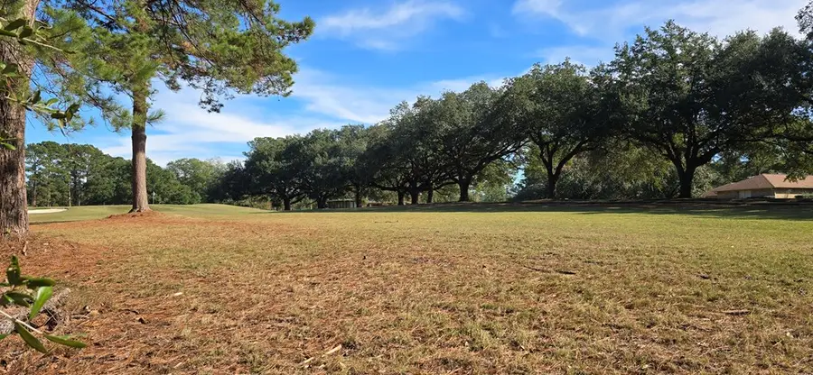 155 Sweetbriar Court, Brookeland, TX 75931 - Image #3