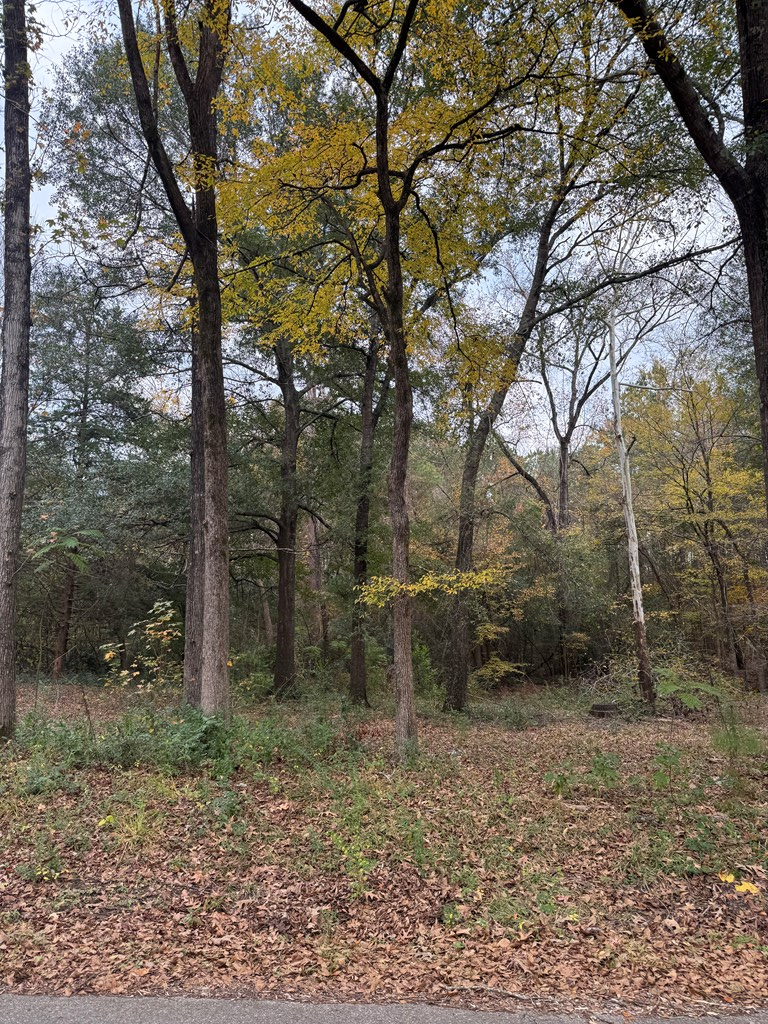 Tract 48 Shady Pine, Lufkin, TX 75901 - Image #2