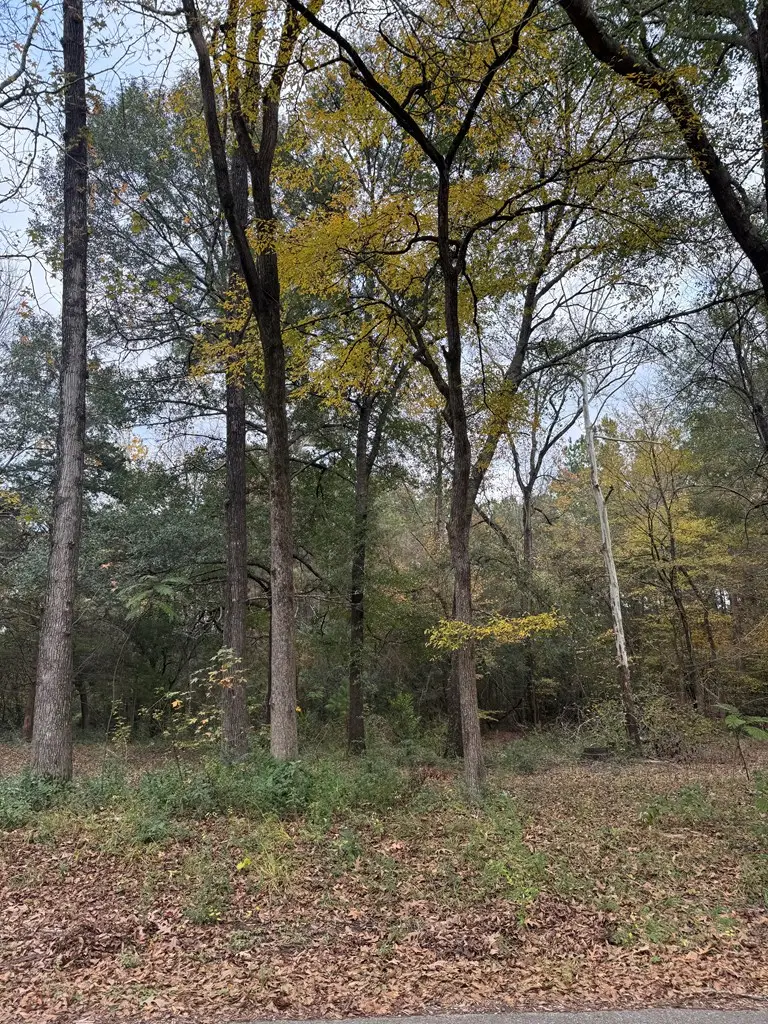 Tract 50 Shady Pine, Lufkin, TX 75901 - Image #3