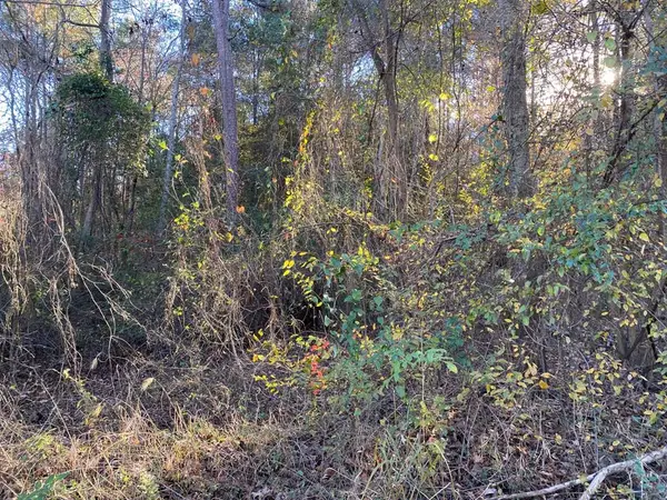 R47124 Beechwood, Huntington, TX 75949