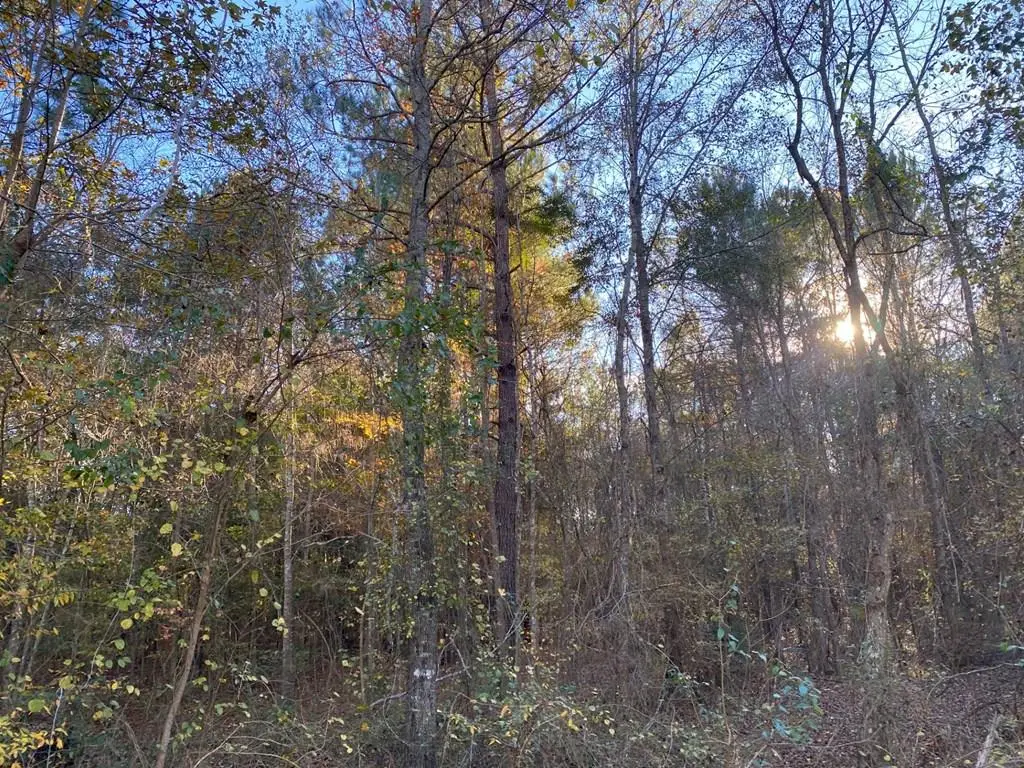 R47123 Beechwood, Huntington, TX 75949 - Image #1