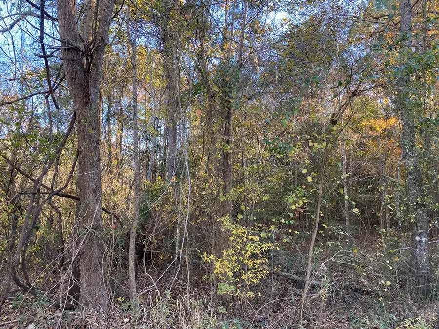 R47123 Beechwood, Huntington, TX 75949 - Image #2